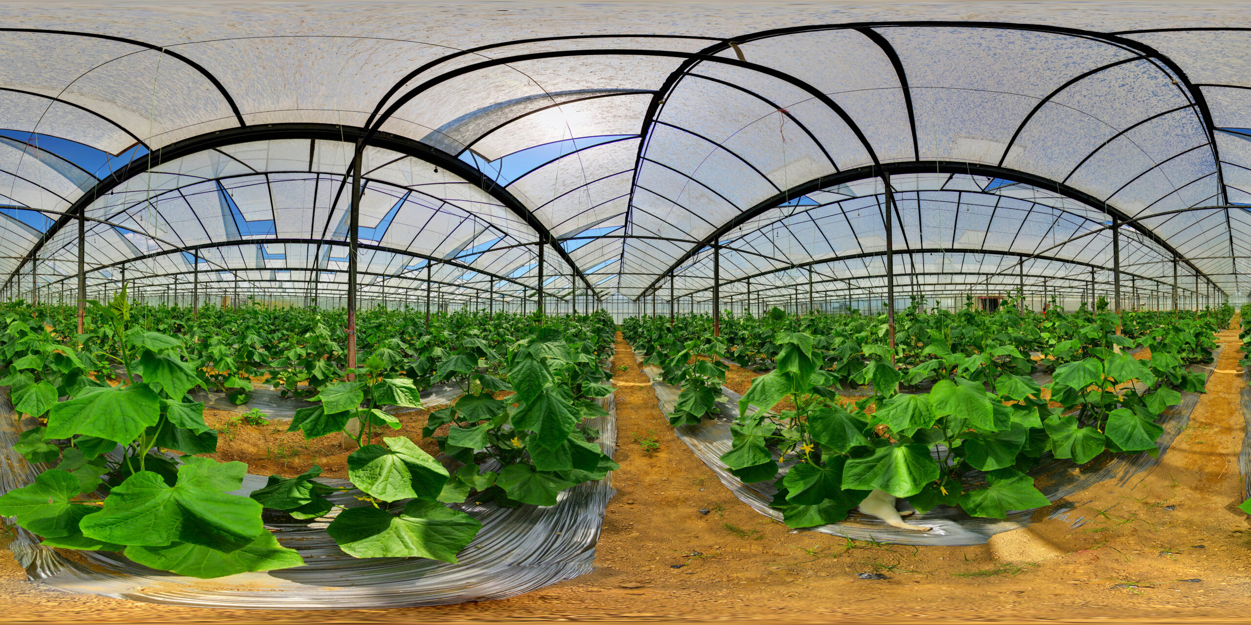 Bio Farm Struma Kresna Bulgaria 4/8 - 360image.net